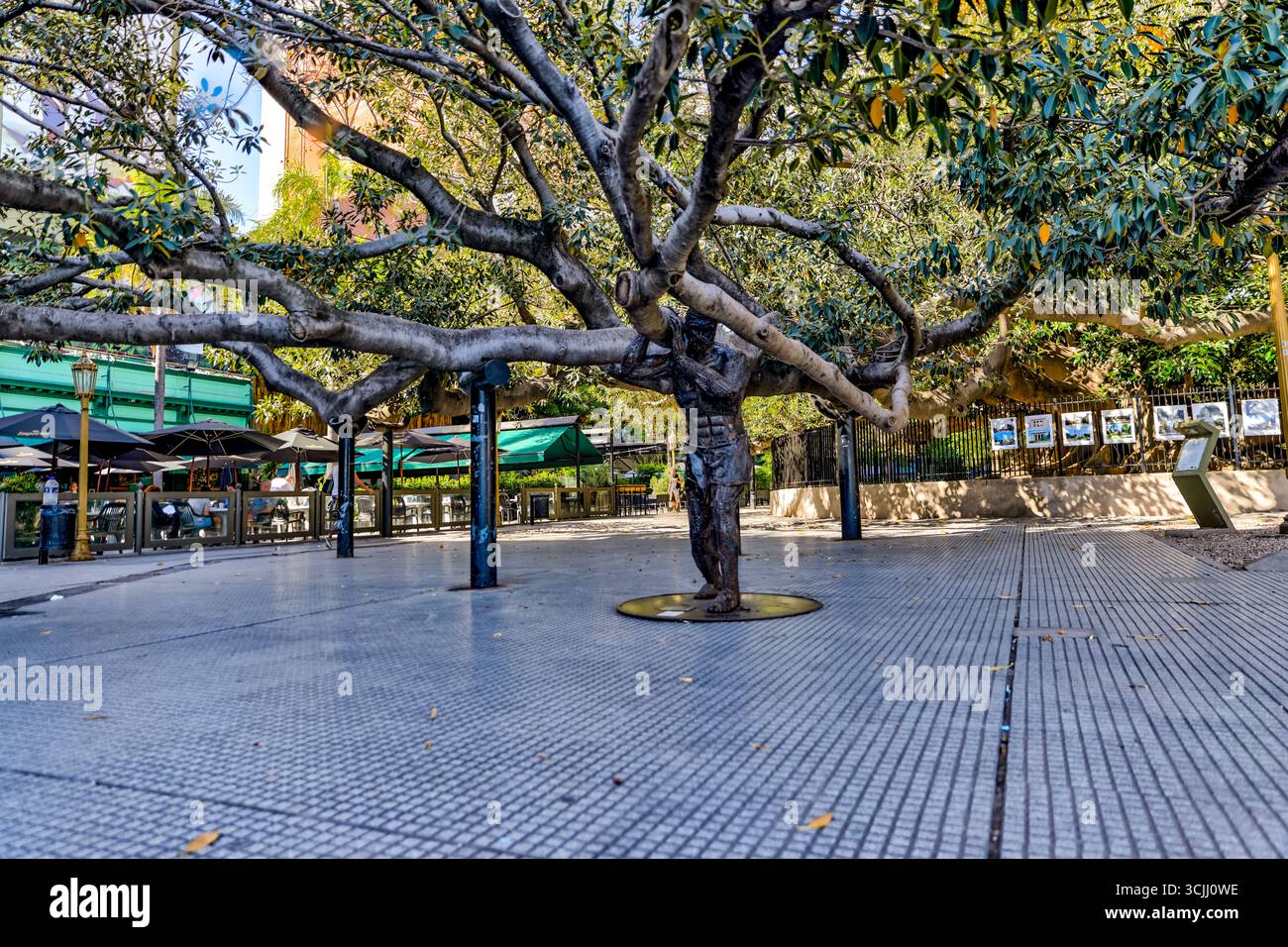 Buenos Aires, Argentina - 21 dicembre 2022: Statua in bronzo di Jorge Luis Borges che tiene i rami d'albero in Plaza San Martín, dell'artista Fernando Pugliese Foto Stock