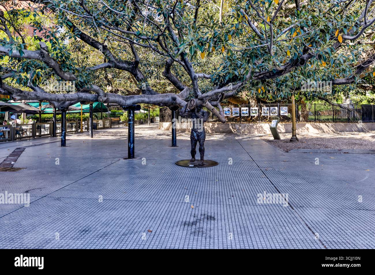 Buenos Aires, Argentina - 21 dicembre 2022: Statua in bronzo di Jorge Luis Borges che tiene i rami d'albero in Plaza San Martín, dell'artista Fernando Pugliese Foto Stock