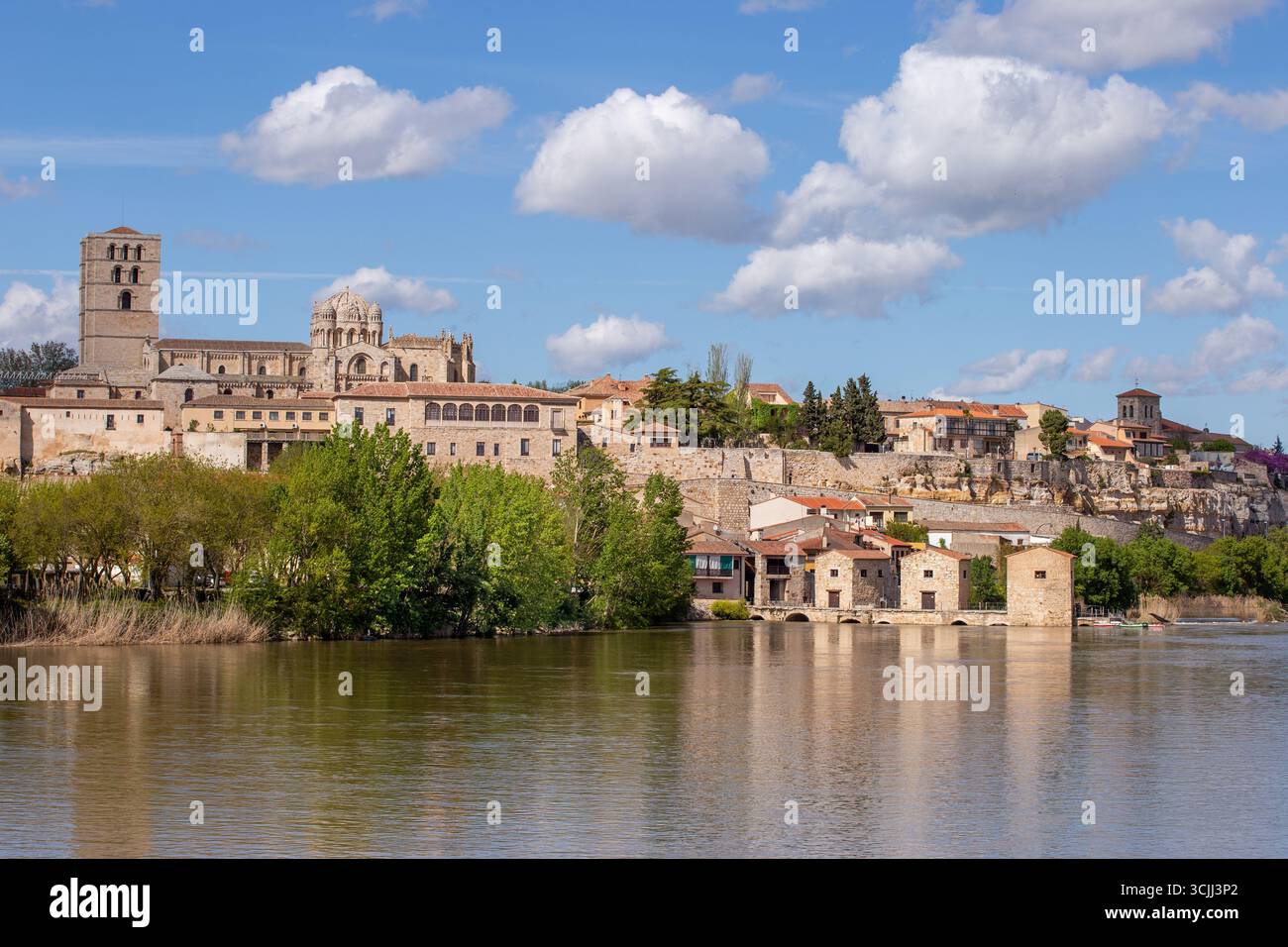 Mulini ad acqua sul fiume Douro nella città spagnola di Zamora, in Spagna, con la cattedrale in alto sulle rive sopra Foto Stock