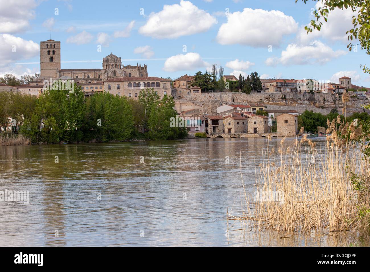Vista sul fiume Douro nella città spagnola di Zamora, Castiglia e León, Spagna, che mostra la Cattedrale con la sua cupola bizantina in stile romanico Foto Stock