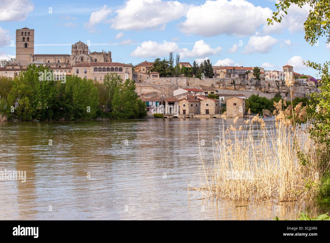 Vista sul fiume Douro nella città spagnola di Zamora, Castiglia e León, Spagna, che mostra la Cattedrale con la sua cupola bizantina in stile romanico Foto Stock