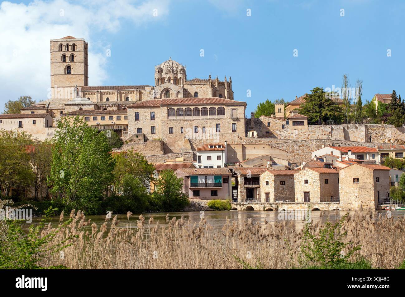 Mulini ad acqua sul fiume Douro nella città spagnola di Zamora, in Spagna, con la cattedrale in alto sulle rive sopra Foto Stock