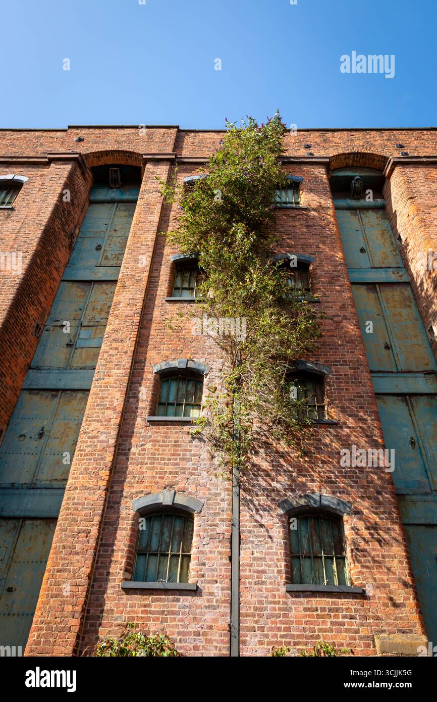 Vecchio edificio di magazzino abbandonato del XIX secolo, Liverpool, 2025 Foto Stock
