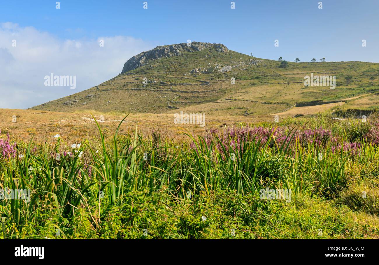 I dintorni di Soesto Rock sono ricoperti da vegetazione verde e fiori che crescono lungo il sentiero che conduce alla spiaggia. Foto Stock