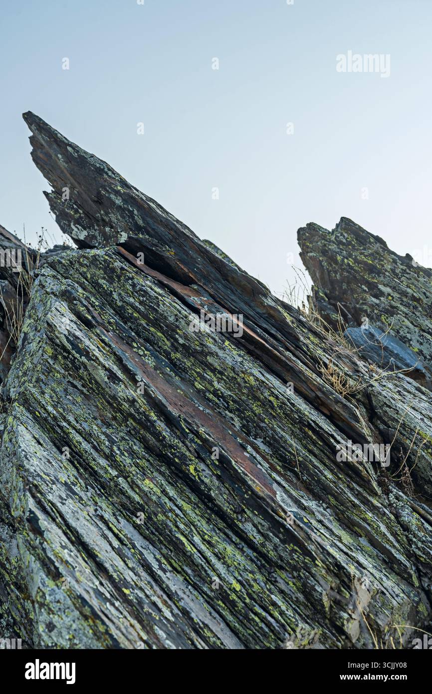 Venature profonde nelle tonalità di mezzanotte si intrecciano, formando labirinti naturali sulla superficie della pietra Foto Stock