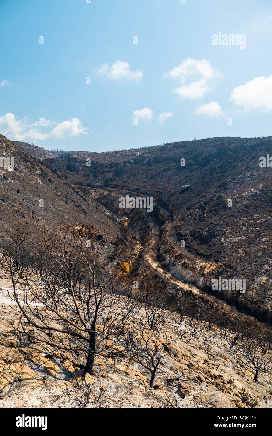 Plakaki, isola di Zante, Grecia, paesaggio dopo un incendio selvaggio con colline bruciate alberi secchi e terreni anneriti che mostrano un disastro naturale e la ripresa Foto Stock Plakaki, isola di Zante, Grecia, paesaggio dopo un incendio selvaggio con colline bruciate alberi secchi e terreni anneriti che mostrano un disastro naturale e la ripresa Foto Stock