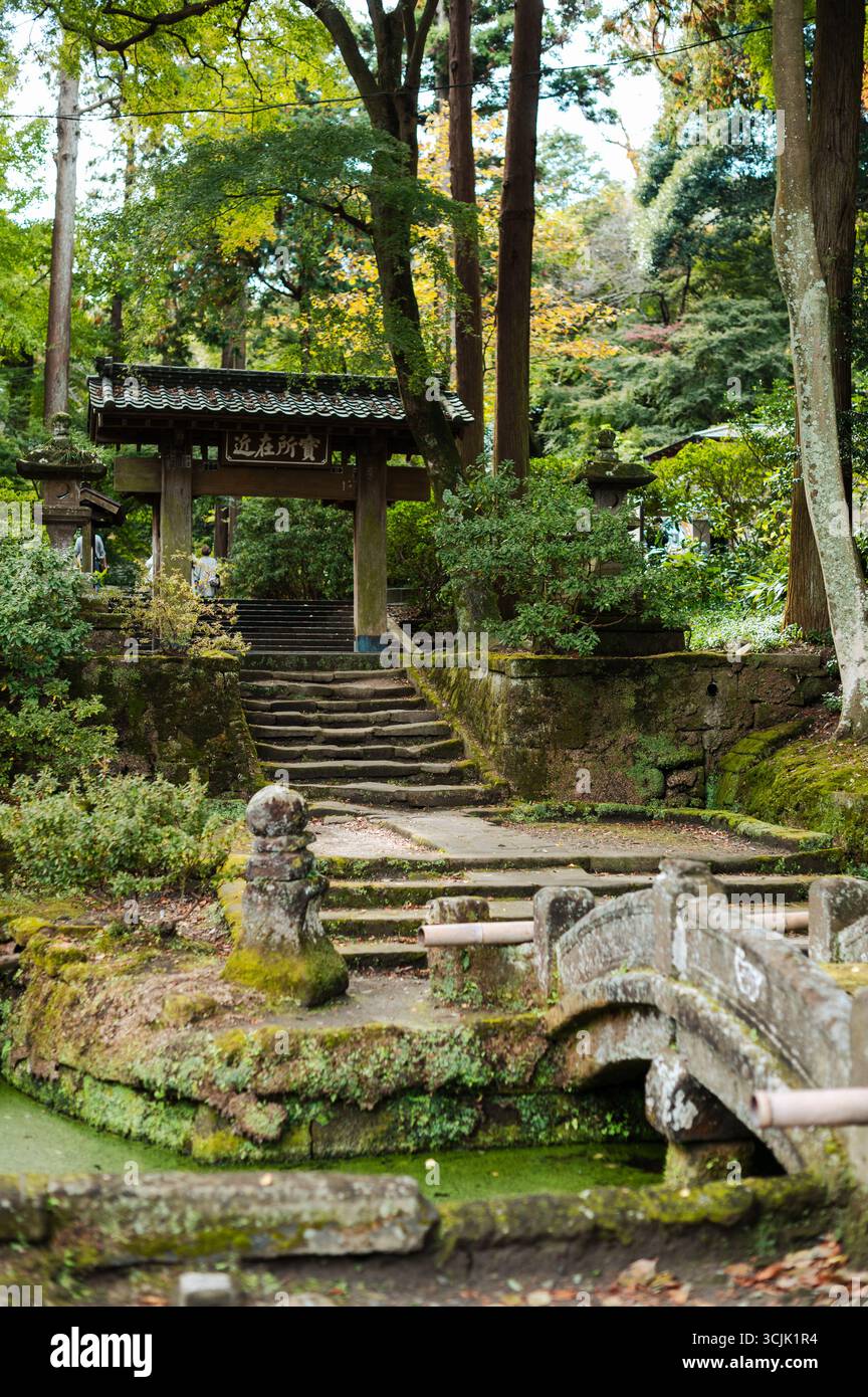 Sentiero di pietra e porta tradizionale nel Giardino Giapponese Mossy Foto Stock