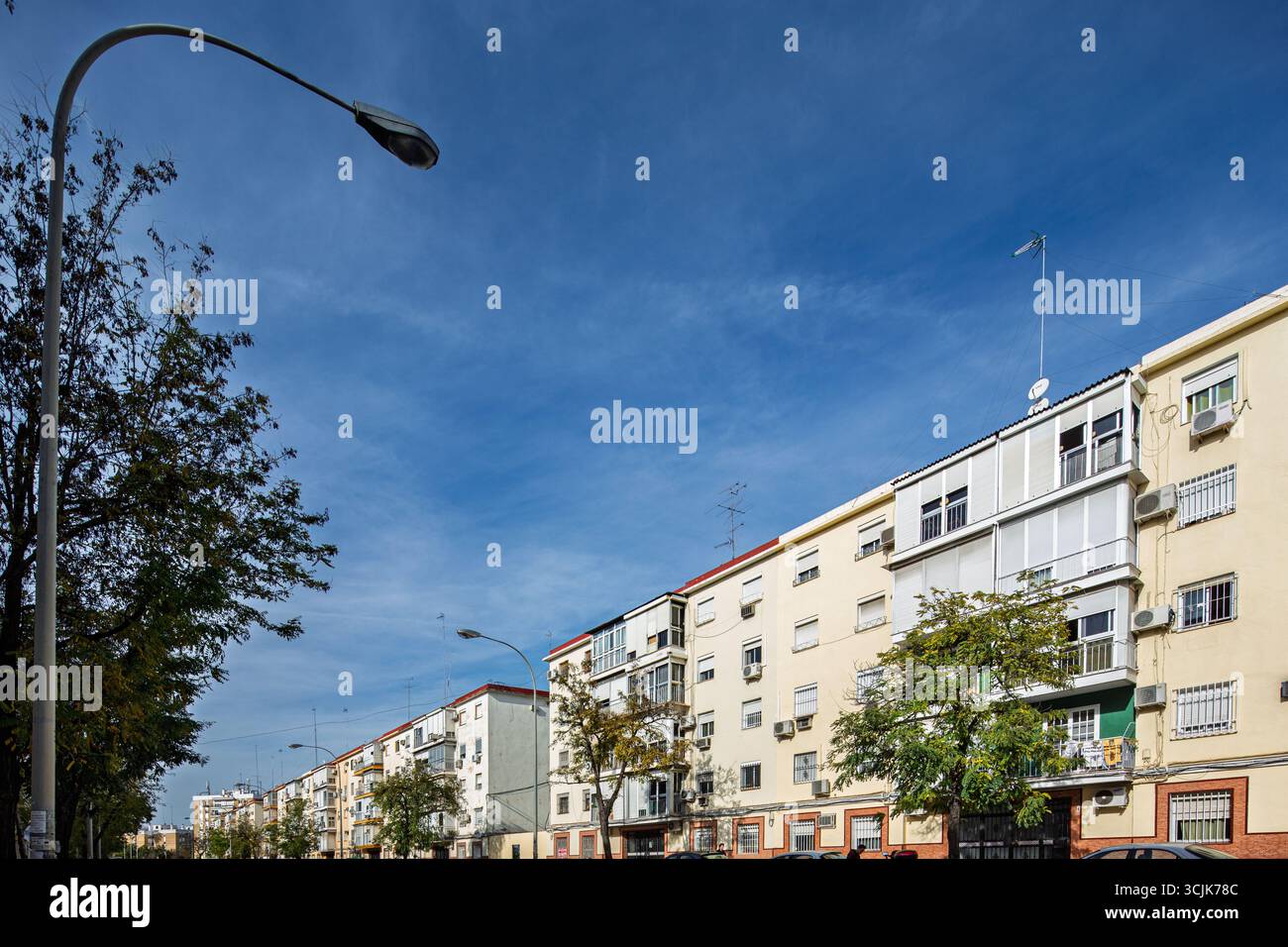 Gli appartamenti della metà del secolo a Siviglia presentano un design semplice, balconi e alberi, che riflettono la vita urbana e la resilienza del dopoguerra. Foto Stock