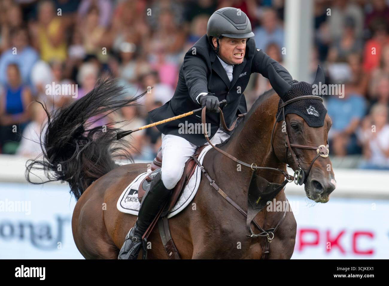 Calgary, Alberta, Canada, 7 settembre 2025. Willem Greve (NED) in sella al Grandorado TN NOP - CPKC International Grand Prix - crediti: Peter Llewellyn/Alamy Live News Foto Stock