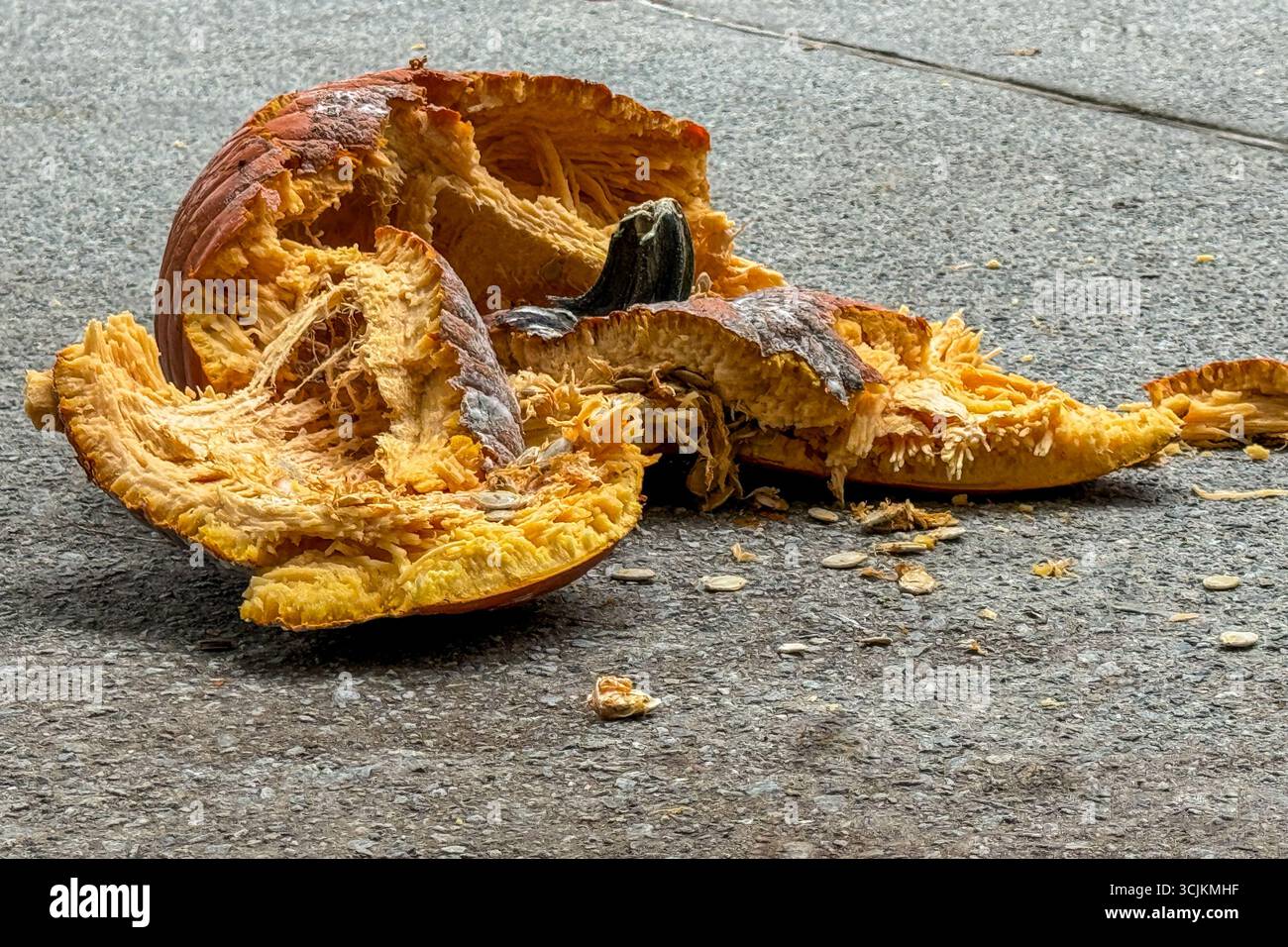 Una zucca morbida e in decomposizione giace a pezzi dopo essere stata schiacciata sul marciapiede dopo Halloween. Foto Stock