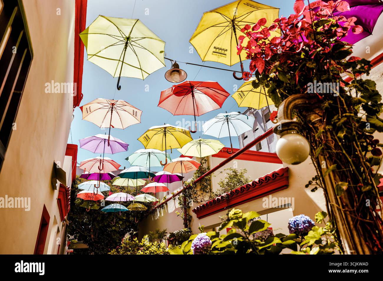 Buenos Aires, Argentina - 21 dicembre 2022: I vibranti ombrelli sospesi sopra uno stretto vicolo pedonale creano un'installazione colorata a baldacchino Foto Stock