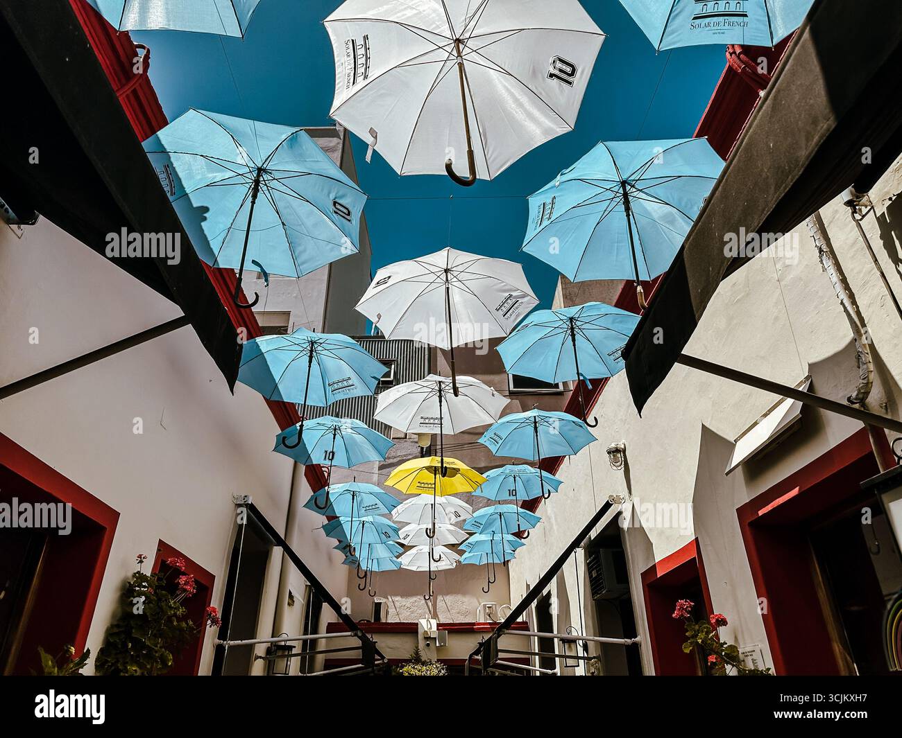 Buenos Aires, Argentina - 21 dicembre 2022: I vibranti ombrelli sospesi sopra uno stretto vicolo pedonale creano un'installazione colorata a baldacchino Foto Stock