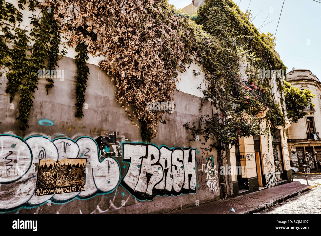 Buenos Aires, Argentina - 21 dicembre 2022: La Street art e le vigne dense di edera coprono la facciata in rovina di un edificio nel quartiere bohémien di San Telmo Foto Stock