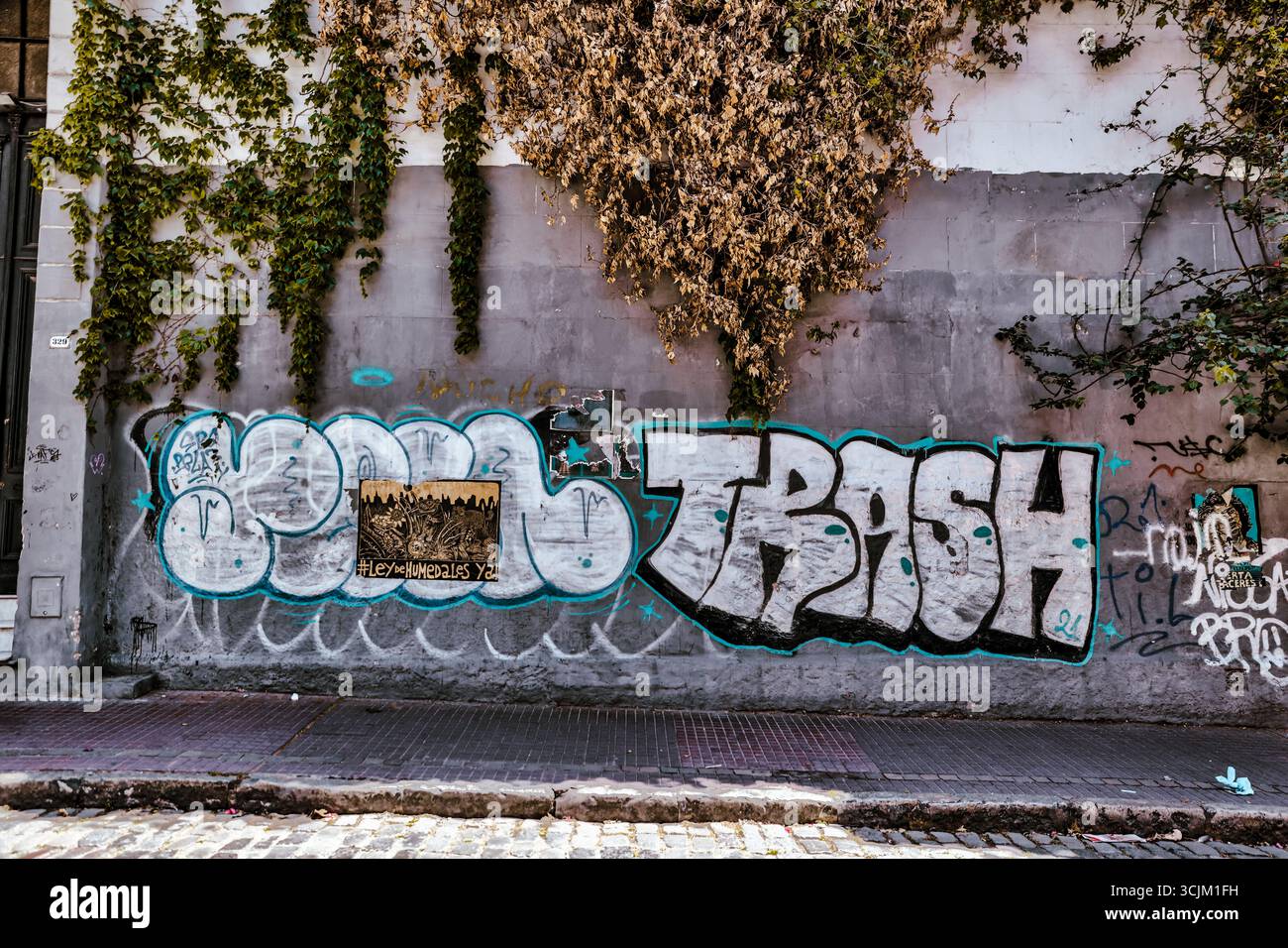 Buenos Aires, Argentina - 21 dicembre 2022: La Street art e le vigne dense di edera coprono la facciata in rovina di un edificio nel quartiere bohémien di San Telmo Foto Stock