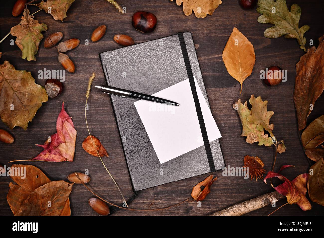 Notebook, matita e carta per appunti durante la stagione autunnale disposizione piatta, vista dall'alto Foto Stock