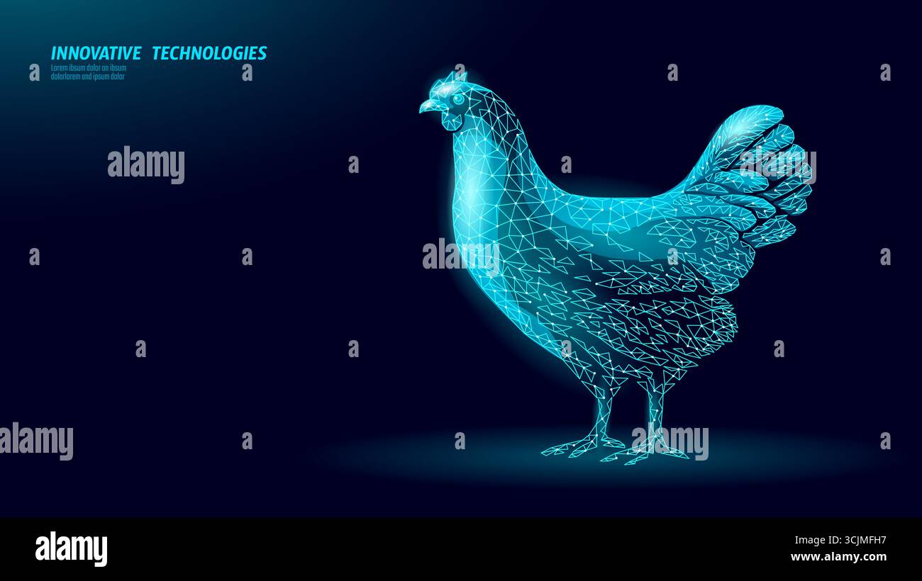Concetto di struttura a reticolo di pollo. Allevamento di volatili da cortile poligonali di gallina. Agricoltura tecnologia alimentare scienza veterinaria. Basso poli digitale blu scuro vecto Illustrazione Vettoriale