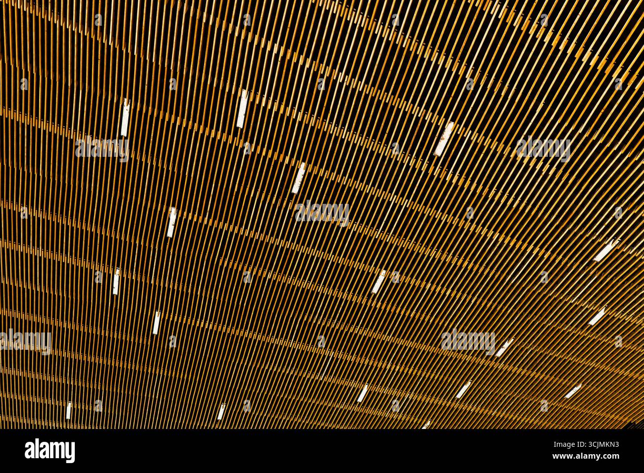 Primo piano di materiali da costruzione moderni con spranghe in legno ripetute che creano ritmo, consistenza e dettagli architettonici. Foto Stock