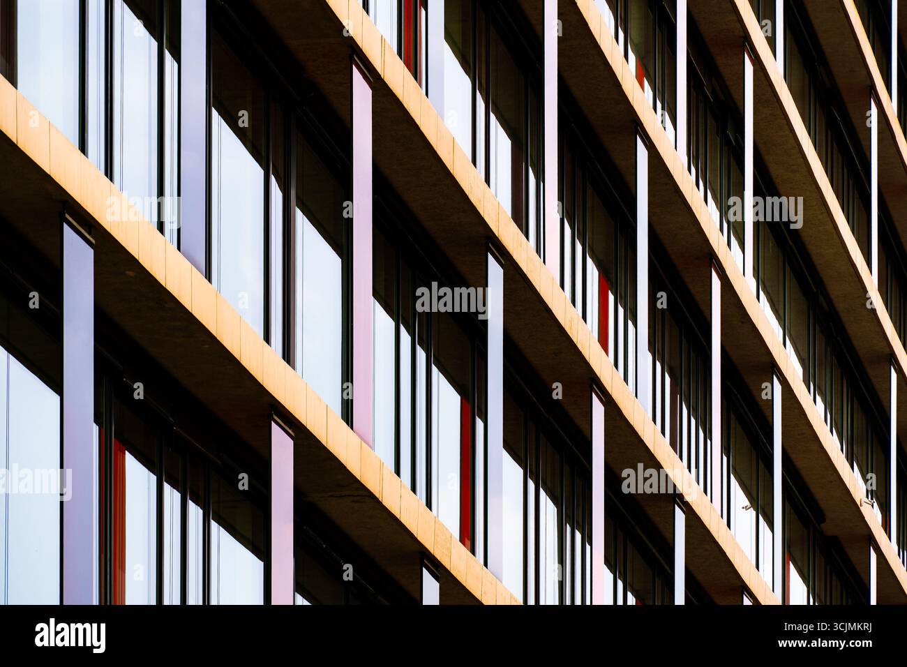Moderna facciata da ufficio con cornice scura a griglia e finestre riflettenti che creano profondità, ordine e ritmo architettonico. Foto Stock