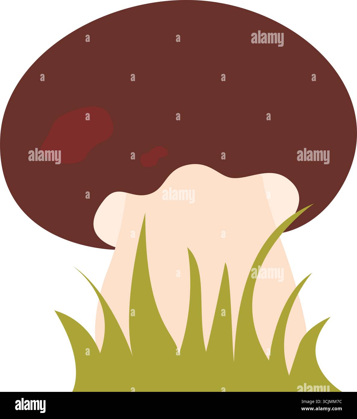 Bolo giovane in figura clip art erba. Carino, nobile fungo commestibile della foresta disegnato a mano, elemento vettoriale Illustrazione Vettoriale