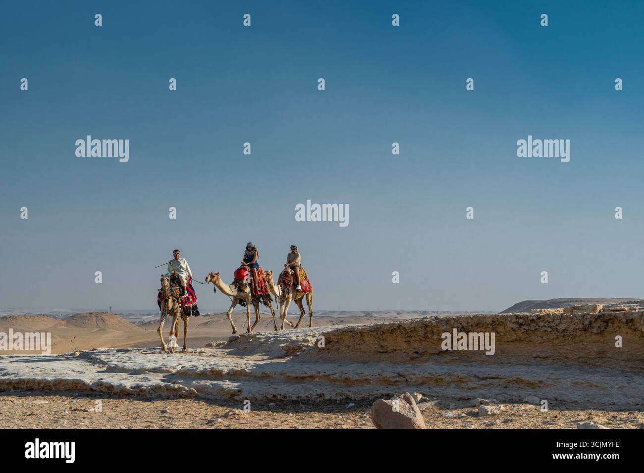 Tour in cammello alle piramidi di Giza Foto Stock