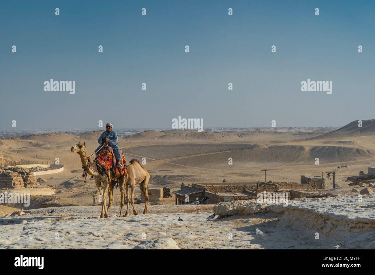 Uomo beduino che cavalca un cammello alle piramidi di Giza Foto Stock
