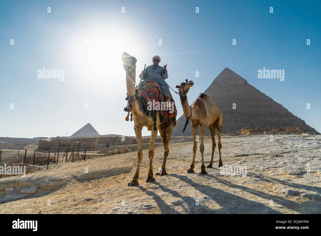 Uomo beduino che cavalca un cammello alle piramidi di Giza Foto Stock