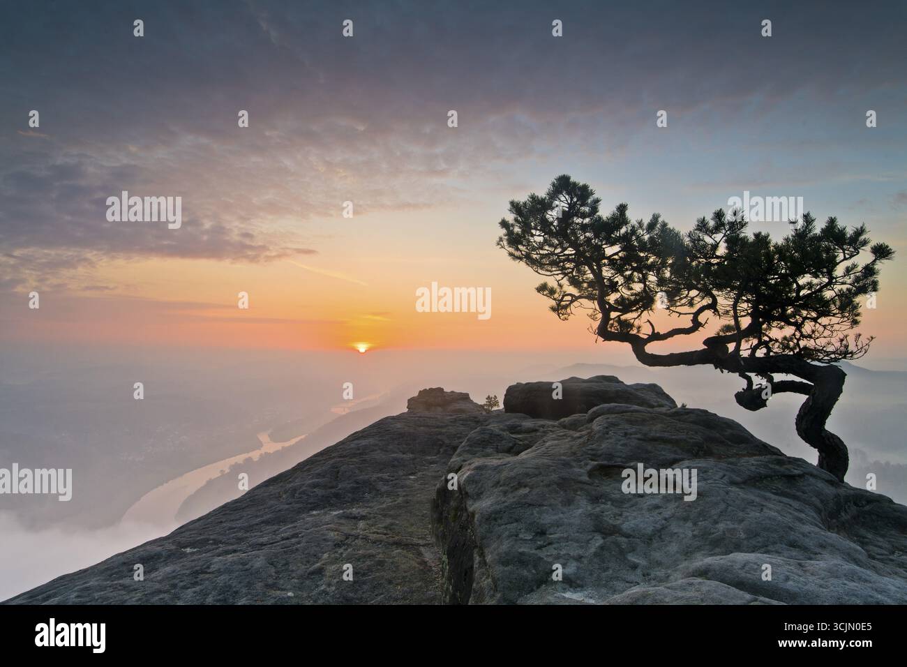 Tempo pino all'alba sopra la nebbia mattutina all'alba nella Svizzera sassone, vista dal Lilienstein sulla valle dell'Elba, il monte di arenaria dell'Elba Foto Stock