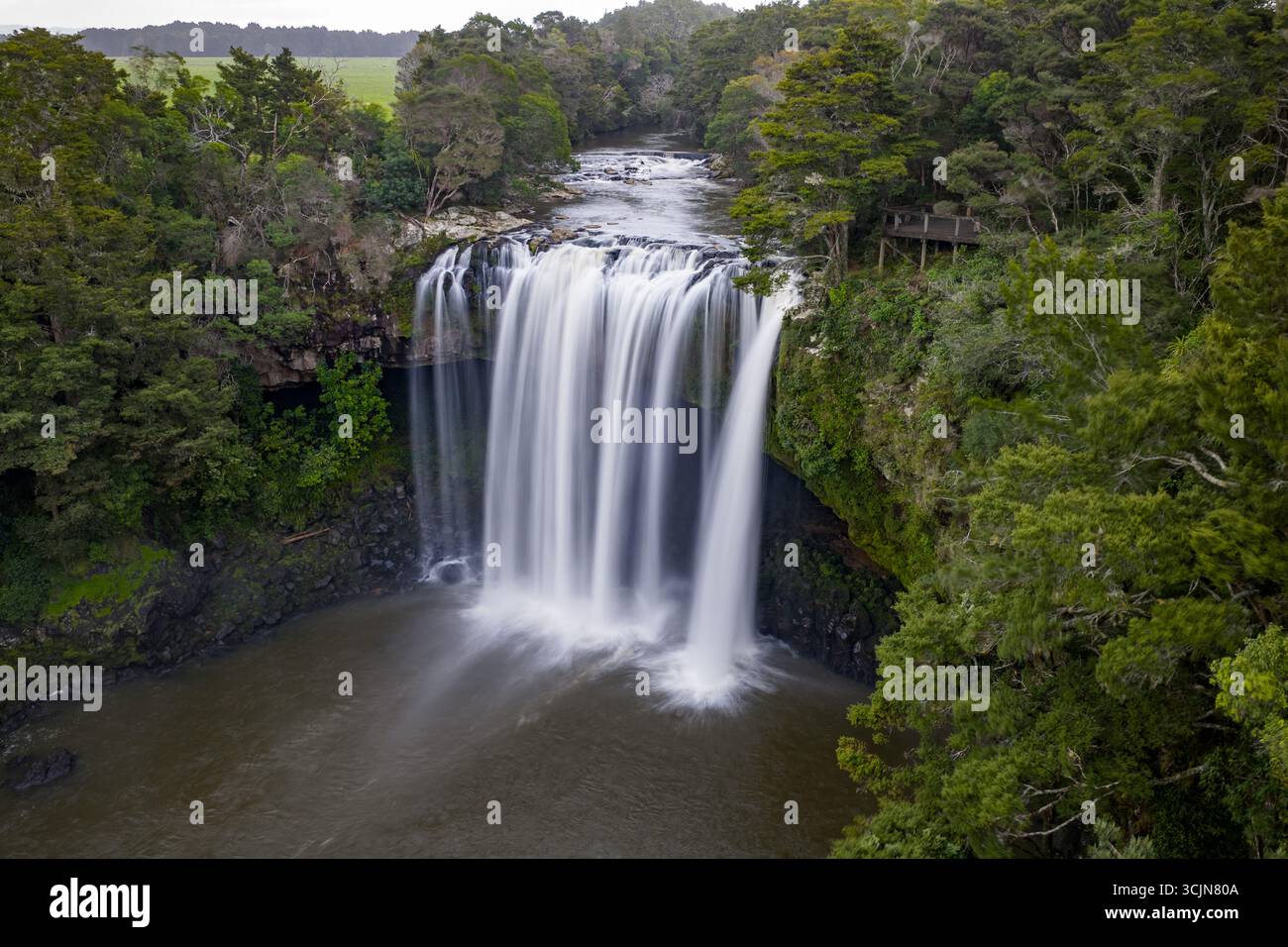 Vista aerea della maestosa cascata che si tuffa nella piscina scura sottostante, incorniciata da lussureggianti baldacchini verdi della foresta, Kerikeri, Northland Region, nuova Zelanda. Foto Stock