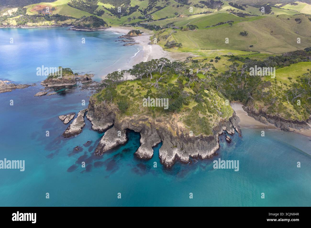 Vista aerea della costa frastagliata dove le acque turchesi incontrano le lussureggianti colline verdi di Elliots Bay, Northland Region, nuova Zelanda. Foto Stock