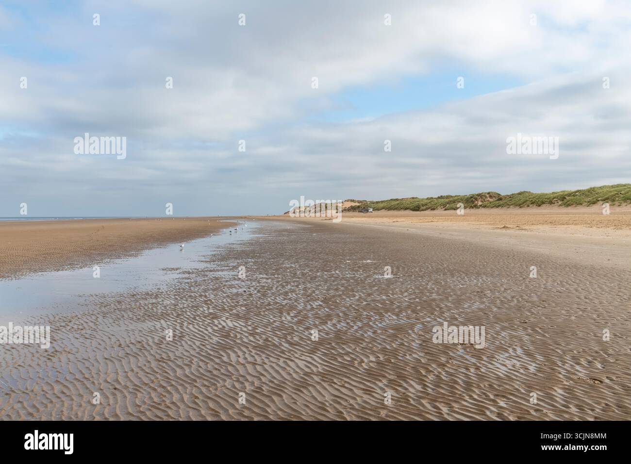 Bassa marea sulla spiaggia di Formby Point, Merseyside, Inghilterra nordoccidentale Foto Stock