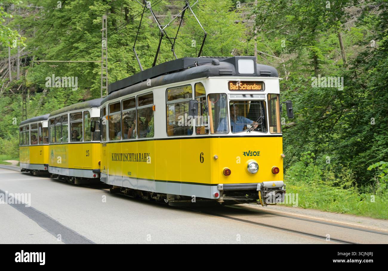Kirnitzschtalbahn, Bad Schandau, Landkreis Sächsische Schweiz-Osterzgebirge, Sachsen, Deutschland Foto Stock