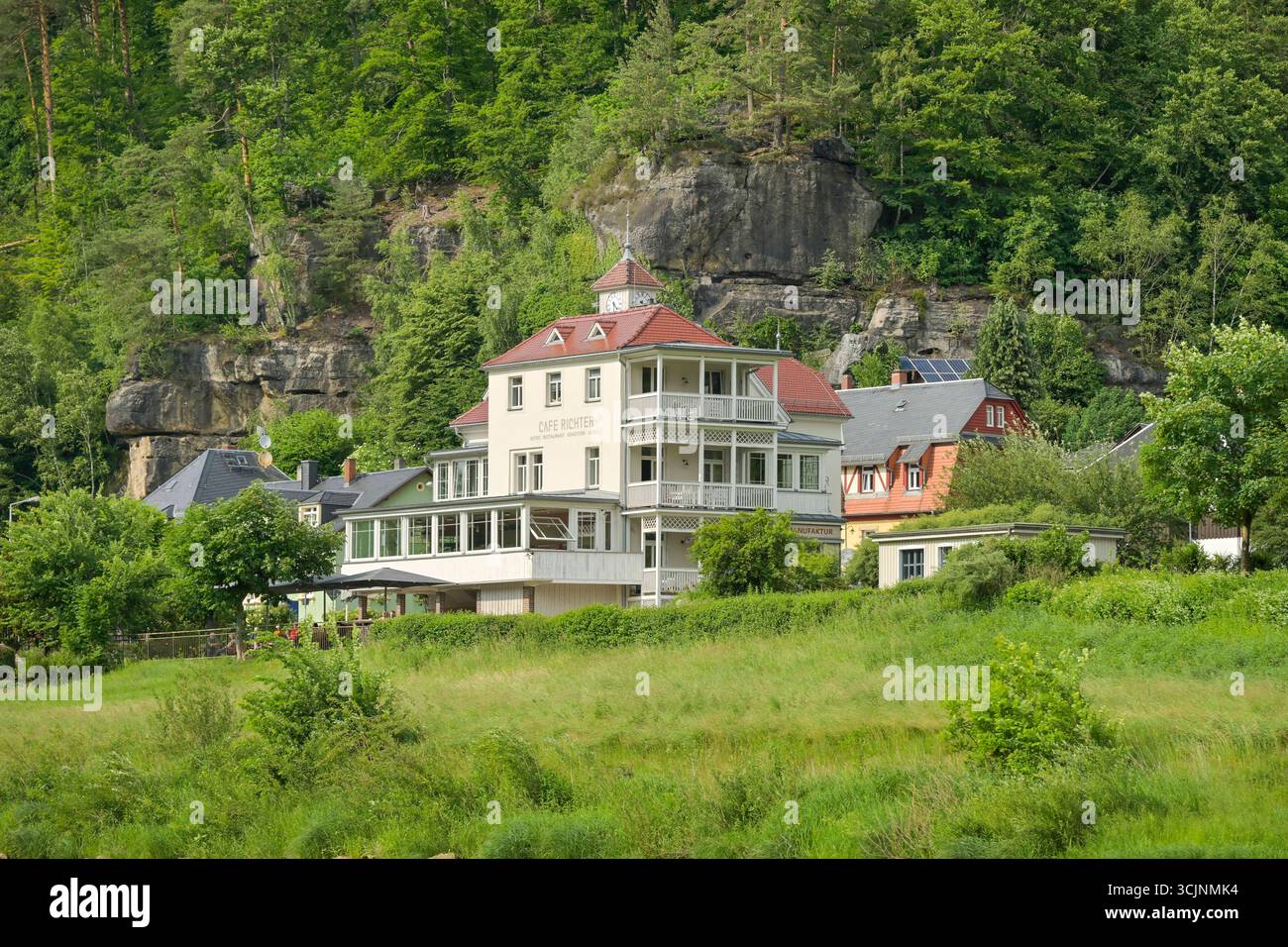 Elbufer, Schmilka, Landkreis Sächsische Schweiz Osterzgebirge, Sachsen, Deutschland *** Elba, Schmilka, Svizzera sassone distretto di Osterzgebirge, Sassonia, Germania Foto Stock