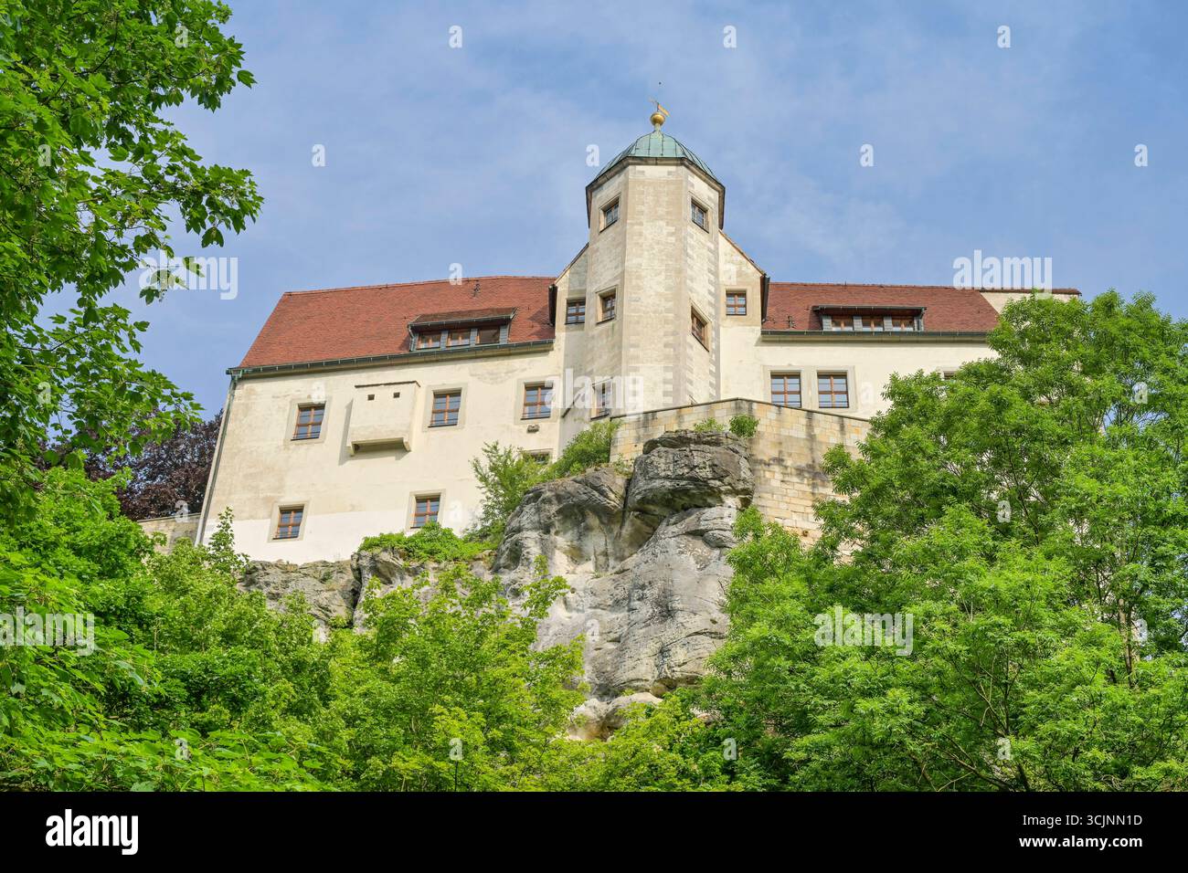 Burg, Hohnstein, Landkreis Sächsische Schweiz-Osterzgebirge, Sachsen, Deutschland *** Burg, Hohnstein, distretto della Svizzera sassone Osterzgebirge orientale, Sassonia, Germania Foto Stock