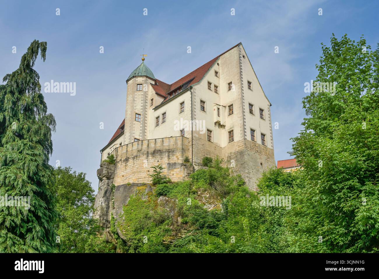Burg, Hohnstein, Landkreis Sächsische Schweiz-Osterzgebirge, Sachsen, Deutschland *** Burg, Hohnstein, distretto della Svizzera sassone Osterzgebirge orientale, Sassonia, Germania Foto Stock
