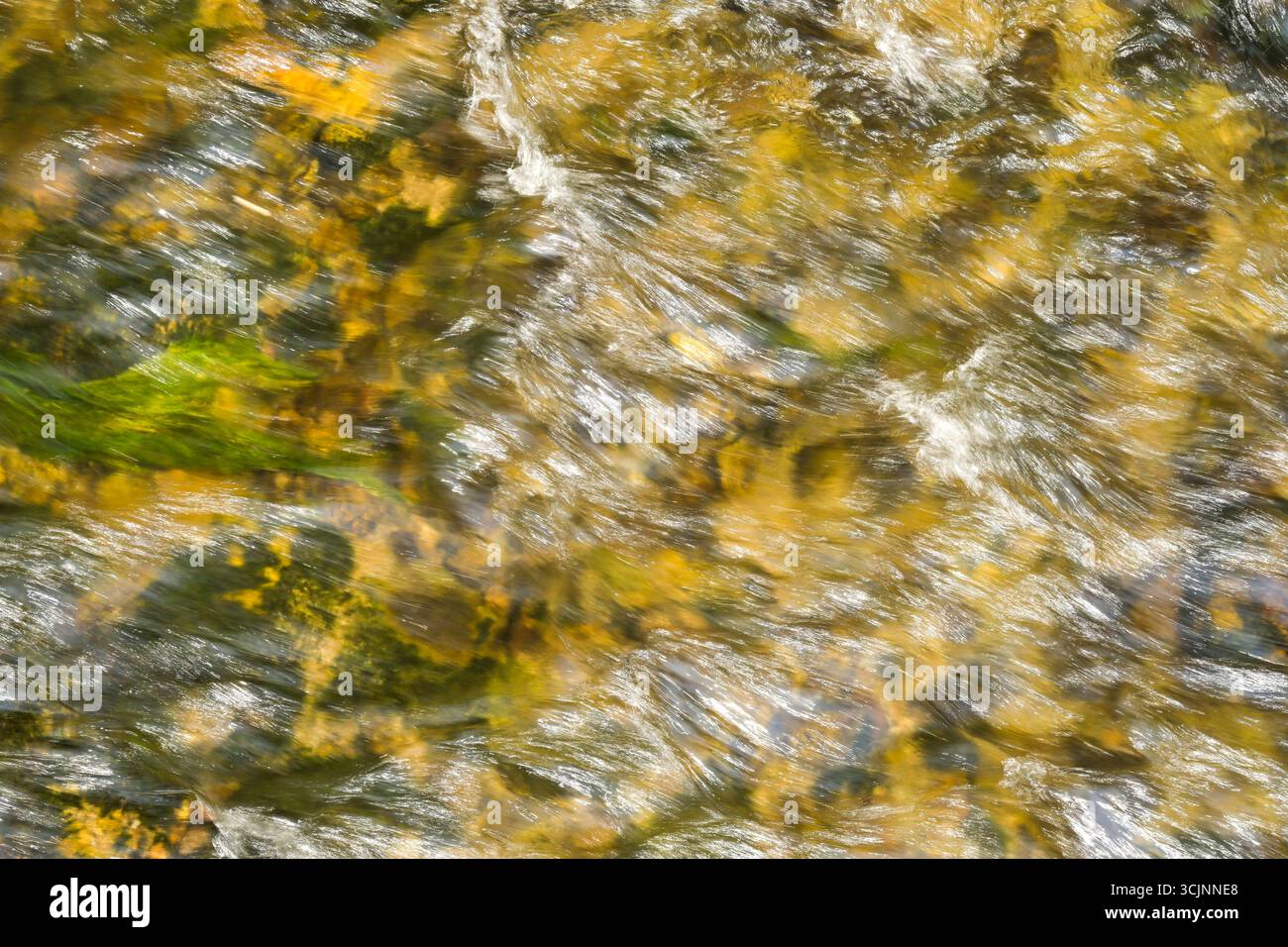 Fluss Kirnitzsch, Kirnitzschtal, Landkreis Sächsische Schweiz-Osterzgebirge, Sachsen, Deutschland *** fiume Kirnitzsch, Kirnitzschtal, distretto della Svizzera sassone Osterzgebirge, Sassonia, Germania Foto Stock