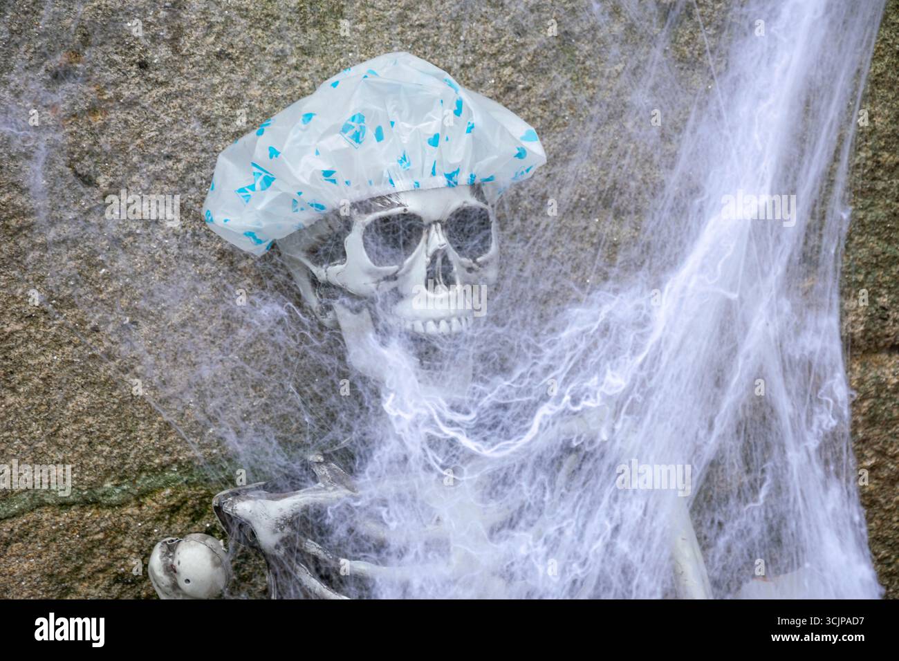 Scheletro spettrale e divertente in una scena ricoperta di ragnatele Foto Stock