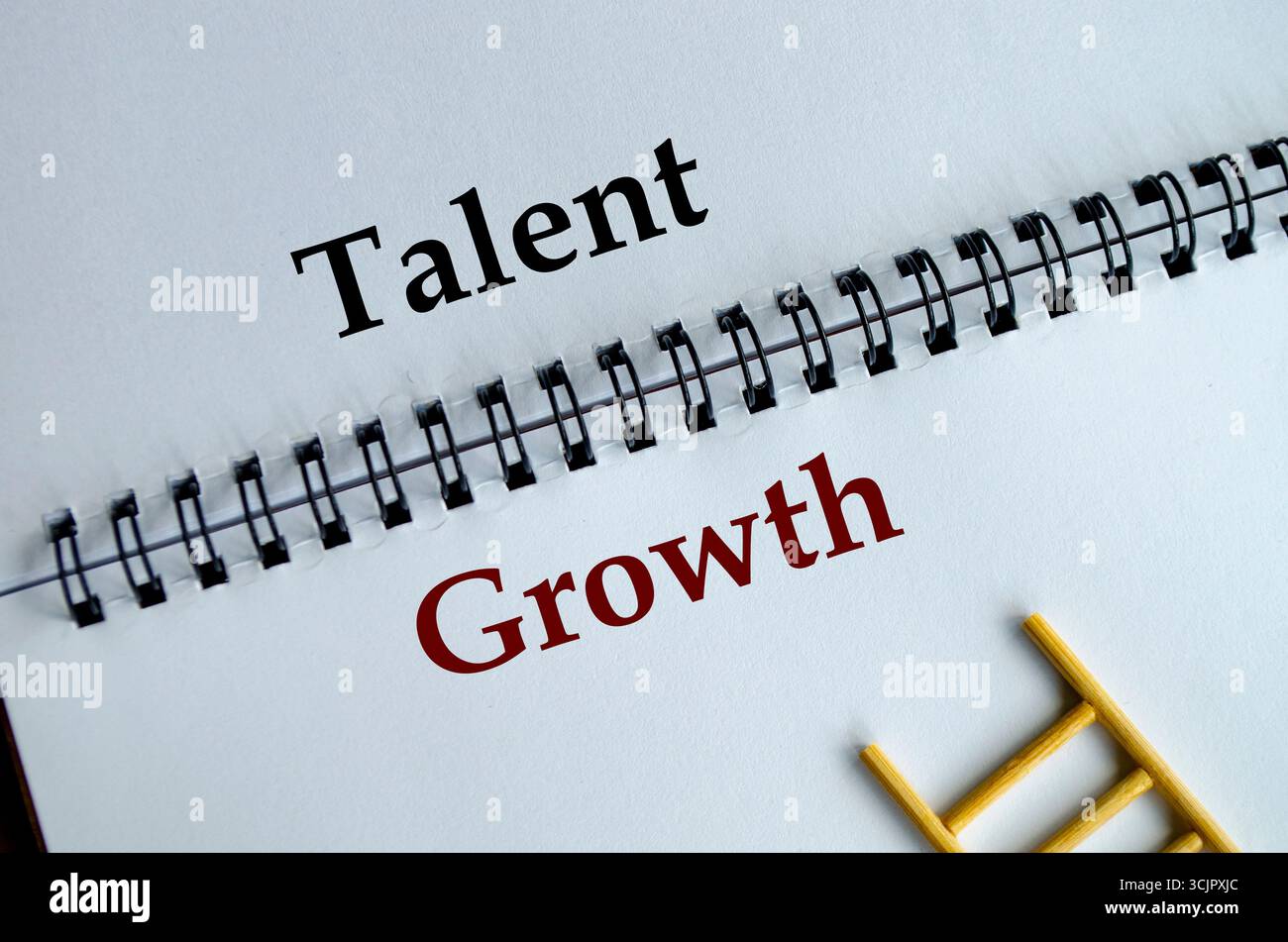 Talent Growth, blocco note che mostra la frase Talent Growth scritta ordinatamente in nero con una scala di legno accanto Foto Stock