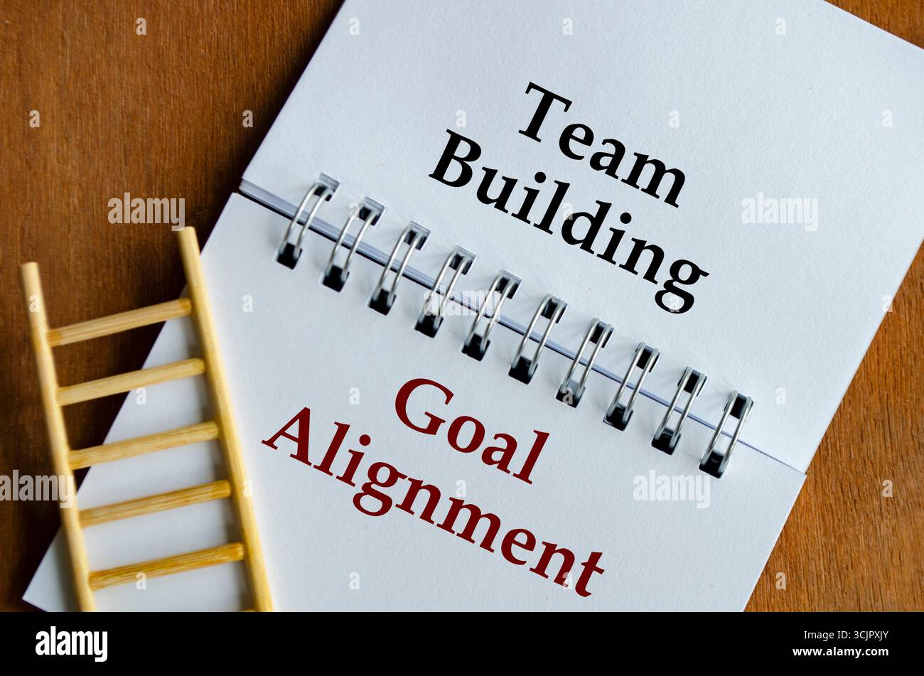 Creazione di team e allineamento degli obiettivi scritti chiaramente con una piccola scala appoggiata al libro Foto Stock