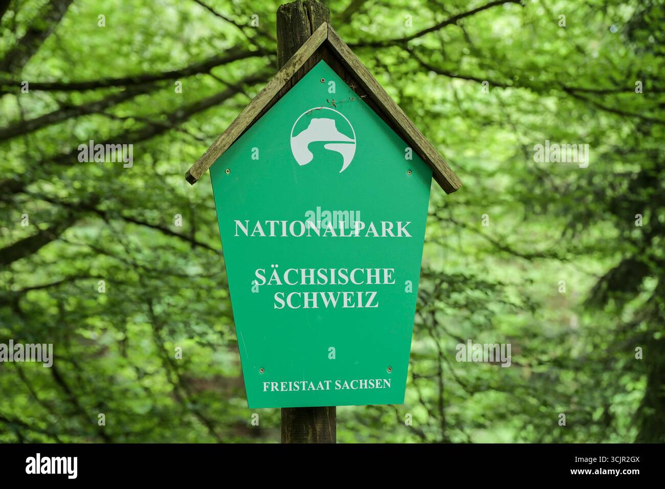 Schild Nationalpark Sächsische Schweiz, Elbsandsteingebirge, Landkreis Sächsische Schweiz-Osterzgebirge, Sachsen, Deutschland *** Signpost Parco Nazionale della Svizzera sassone, Monti di pietra arenaria dell'Elba, Svizzera sassone distretto di Osterzgebirge, Sassonia, Germania Foto Stock