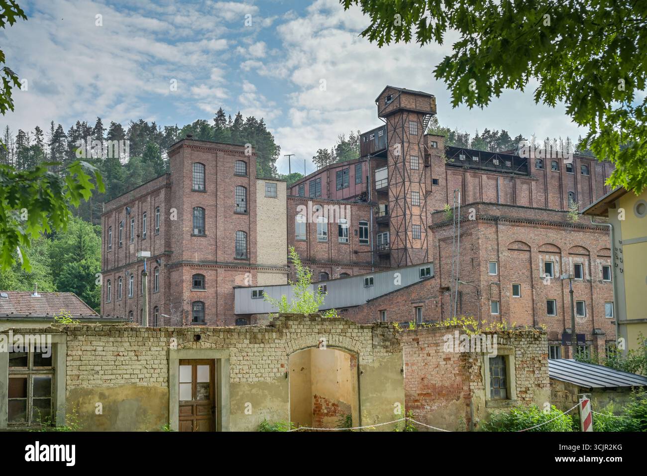 Stillgelegtes Linoleumwerk Kohlmühle, Landkreis Sächsische Schweiz-Osterzgebirge, Sachsen, Deutschland *** Unesed linoleum Plant Kohlmühle, distretto della Svizzera sassone Osterzgebirge, Sassonia, Germania Foto Stock