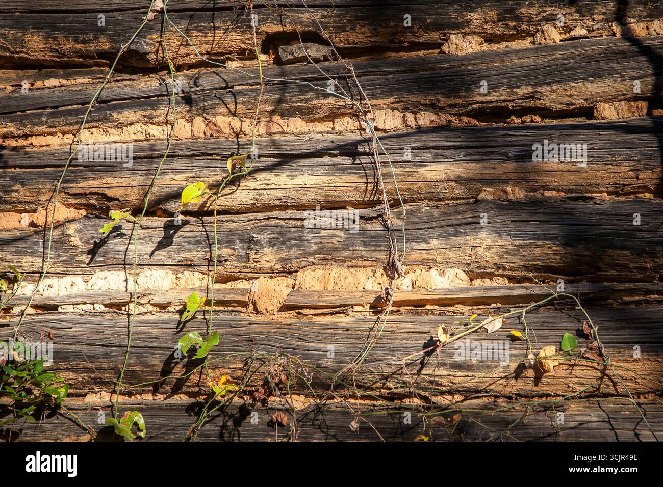 Illuminazione laterale su struttura in legno Foto Stock
