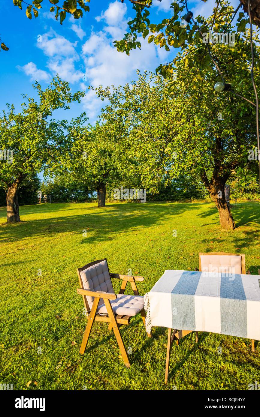 Tavolo e sedia nel frutteto di mele nelle soleggiate giornate estive, nella regione di Roztocze, Polonia Foto Stock