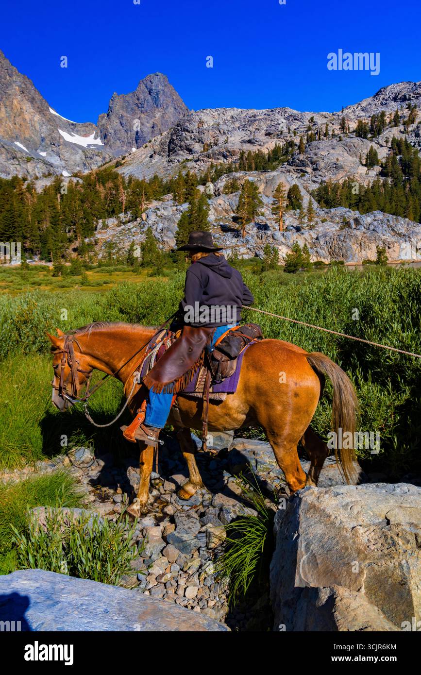 Pack Animals condotto da wrangler della Agnew Meadows Pack Station che trasporta l'attrezzatura al lago Ediza, Inyo National Forest, California, USA [non disponibile; editoriale Foto Stock