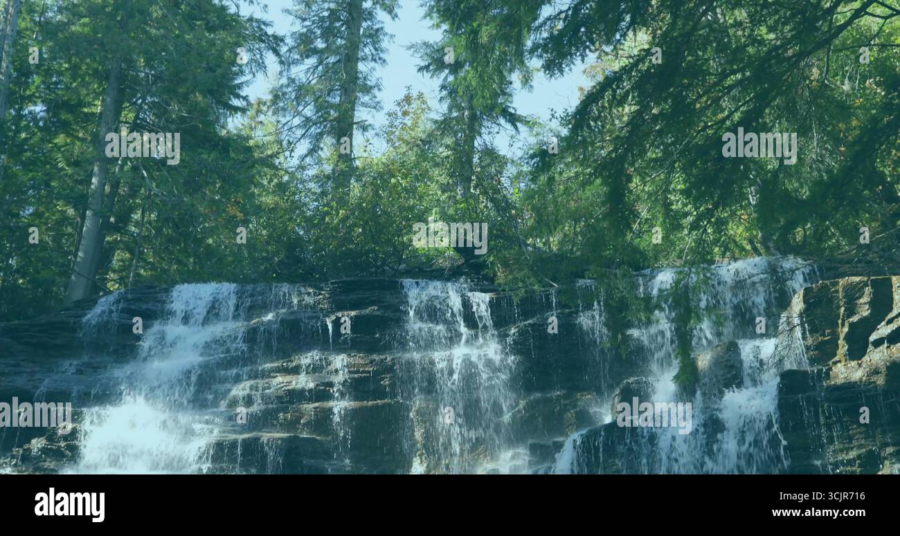 Cascata che scorre sulle sporgenze rocciose nella foresta di montagna, con muschio e sempreverdi Foto Stock