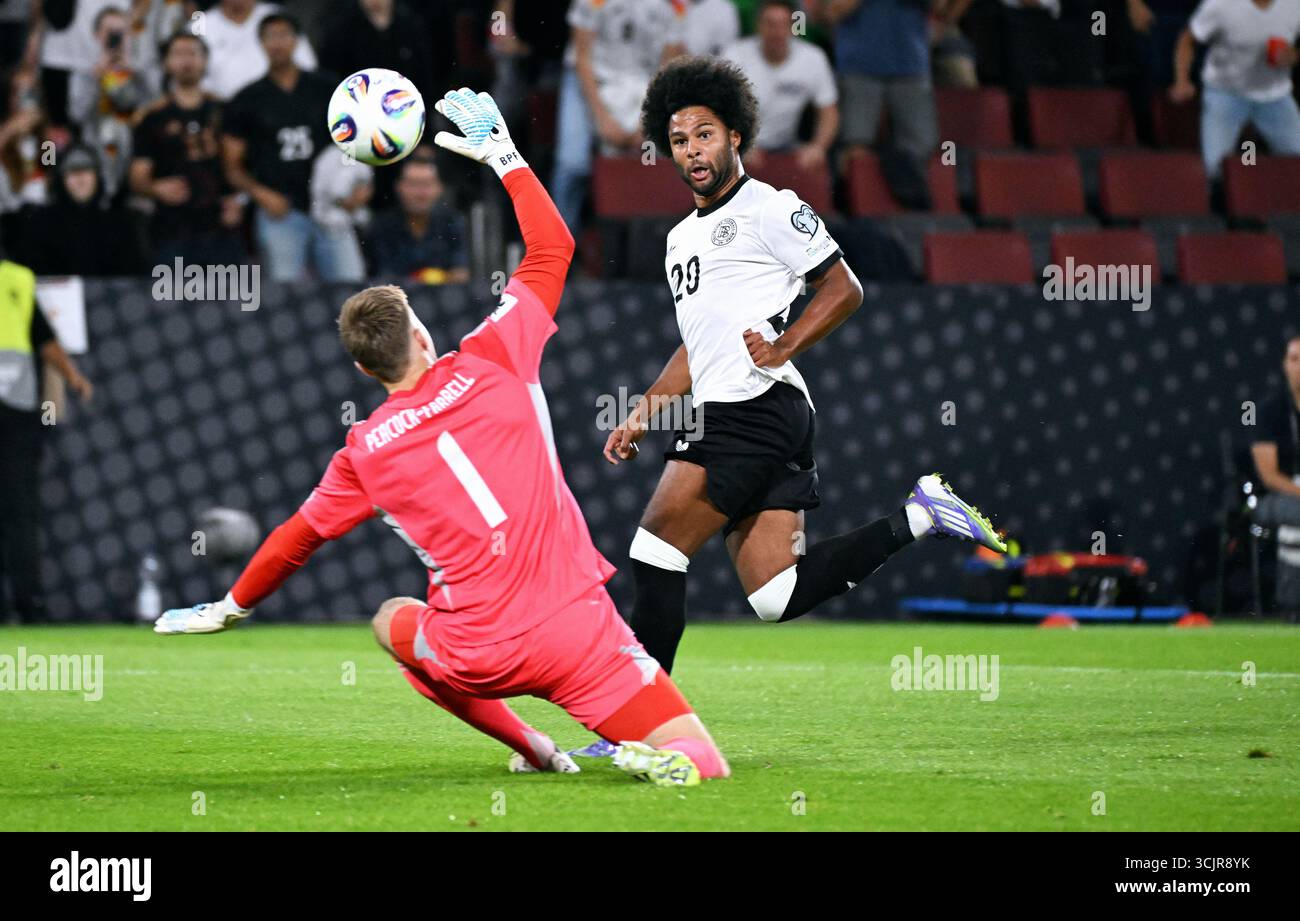 Fussball, LŠnderspiel, Herren, WM-Qualifikation, Rhein-energie-Stadion Kšln: Deutschland - Nordirland; Serge Gnabry (GER) erzielt das Tor zum 1:0 gegen Bailey Peacock-Farrell (NIR). Aktion Foto Stock
