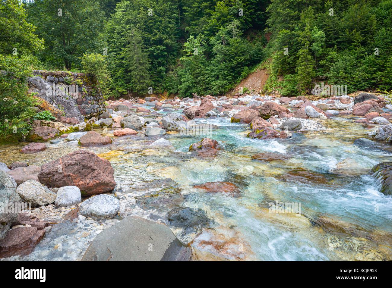 Il cristallino torrente di montagna scorre attraverso un'area boschiva delle Alpi Giulie, nel nord-est dell'Italia Foto Stock