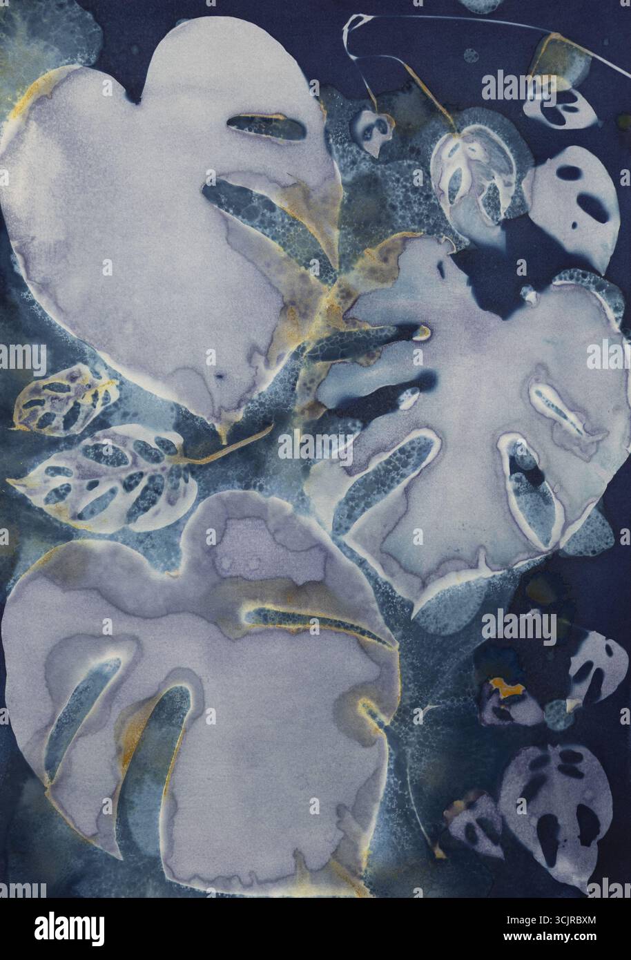 Cianotipo botanico di Monstera Deliciosa in blu prussiano Foto Stock