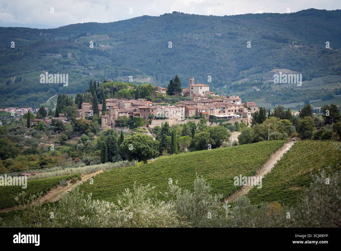 Montefioralle - antico insediamento medievale nella regione classica del Chianti, circondato da vigneti e oliveti, Toscana, Italia Foto Stock