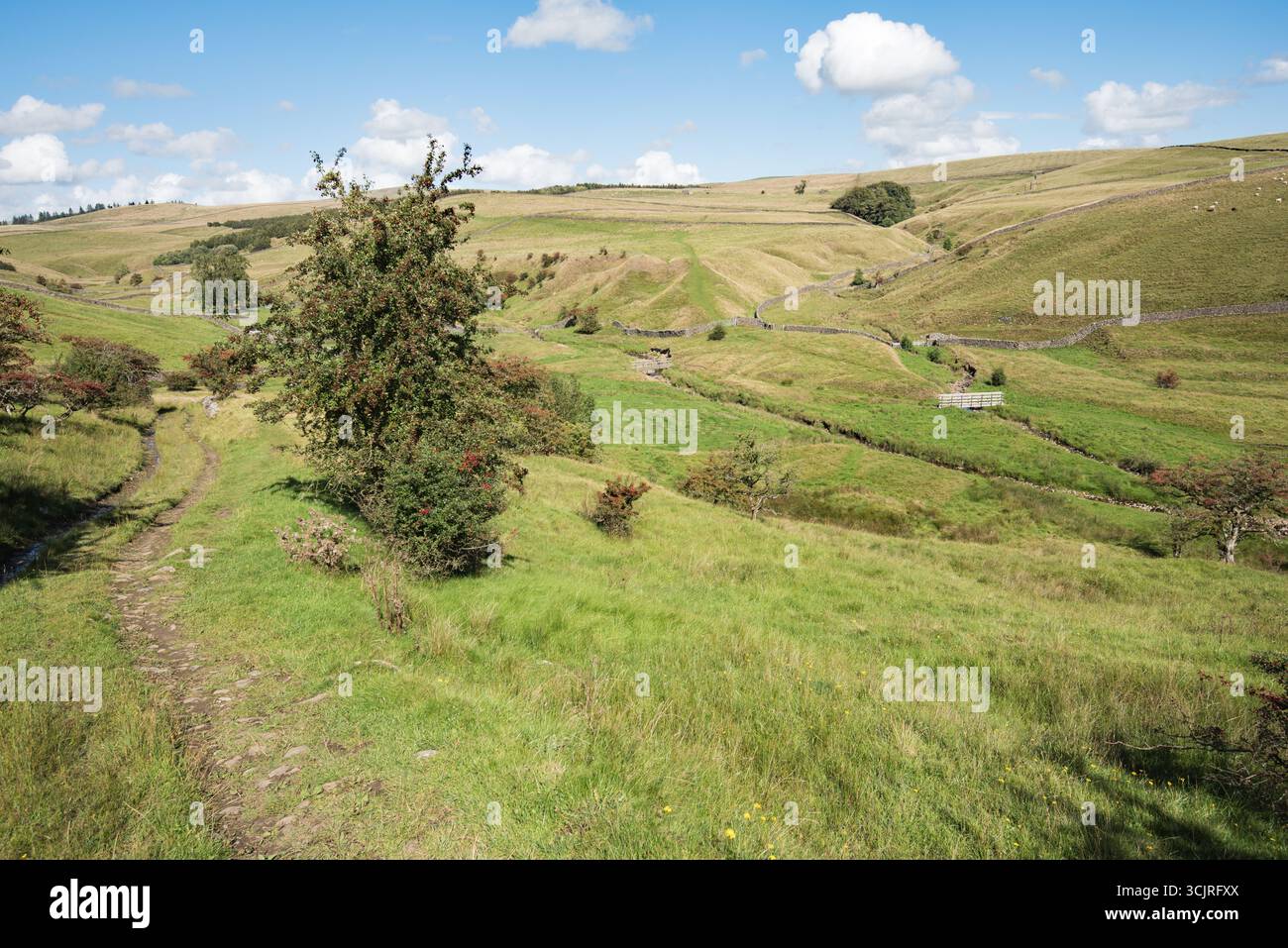 Il bel paesaggio delle Yorkshire Dales, dove Long Preston beck si unisce all'acqua proveniente da Bookil Gill. Foto Stock
