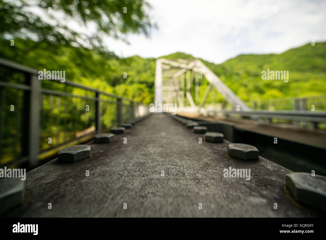 Vista ad angolo basso delle teste dei bulloni sul supporto del ponte sul vecchio ponte ferroviario Foto Stock